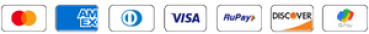 payment icon